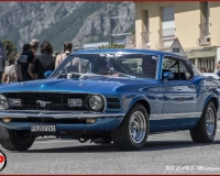 TSR Watermark - 0644